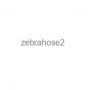 zebrahose2