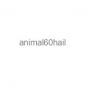 animal60hail